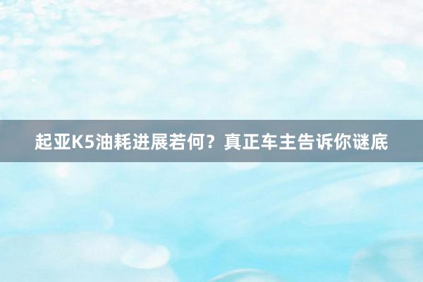 起亚K5油耗进展若何？真正车主告诉你谜底